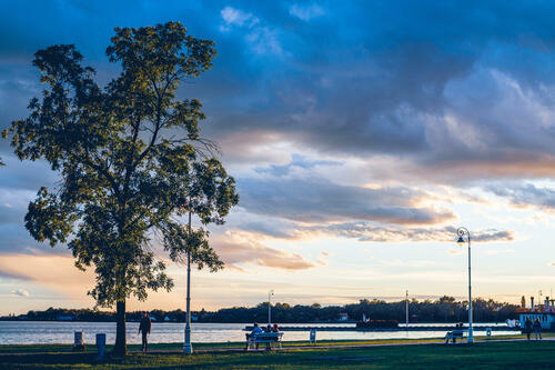 Sunset tree and lake